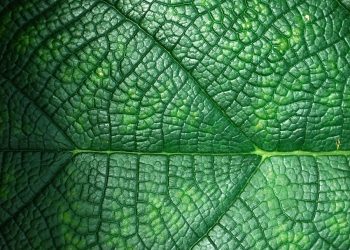 Unlocking the Power of Green Technology: Saving the Environment and Your Wallet