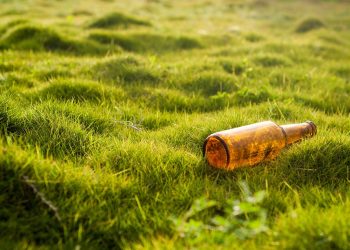 Clearing the Path to Destruction: The Devastating Link Between Deforestation and Climate Change