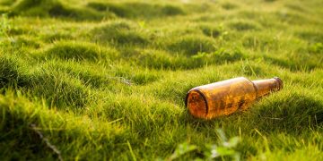 Clearing the Path to Destruction: The Devastating Link Between Deforestation and Climate Change