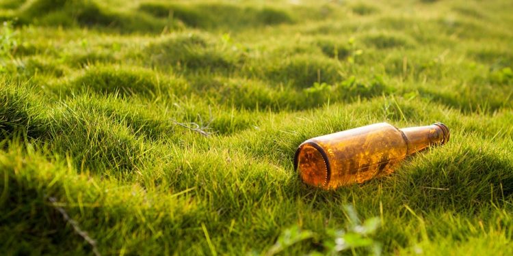 Clearing the Path to Destruction: The Devastating Link Between Deforestation and Climate Change