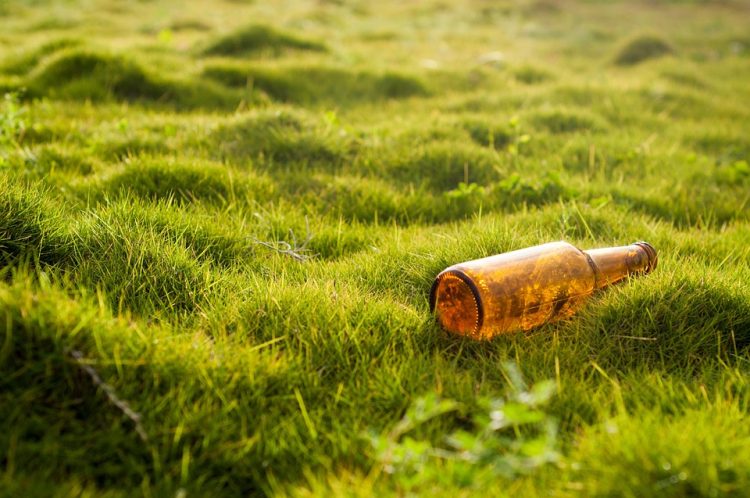 Clearing the Path to Destruction: The Devastating Link Between Deforestation and Climate Change