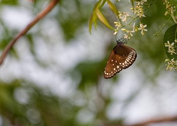 Revolutionizing Tomorrow: Eco-Friendly Innovations to Shape 2025 and Beyond