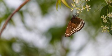 Revolutionizing Tomorrow: Eco-Friendly Innovations to Shape 2025 and Beyond