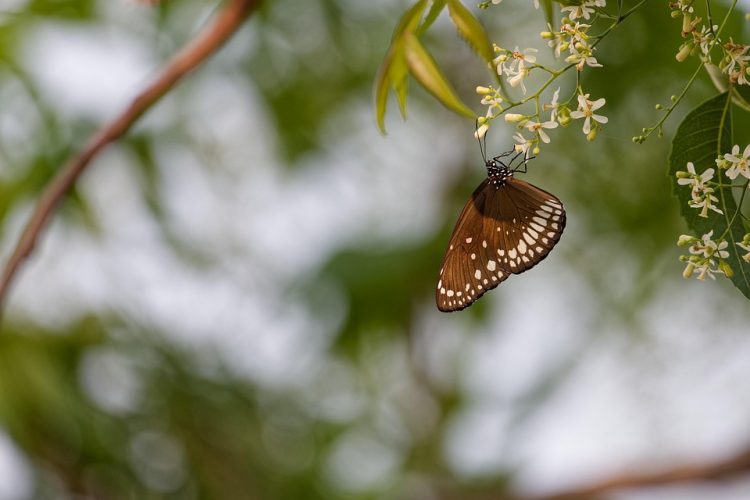 Revolutionizing Tomorrow: Eco-Friendly Innovations to Shape 2025 and Beyond