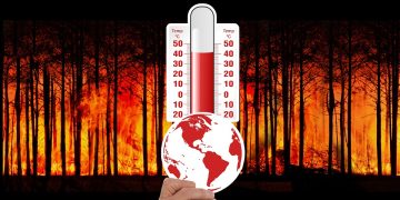 10 Effective Strategies to Combat Climate Change and Prevent Global Warming
