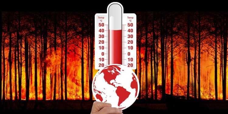 10 Effective Strategies to Combat Climate Change and Prevent Global Warming