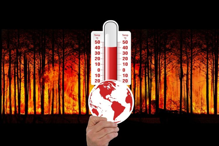 10 Effective Strategies to Combat Climate Change and Prevent Global Warming