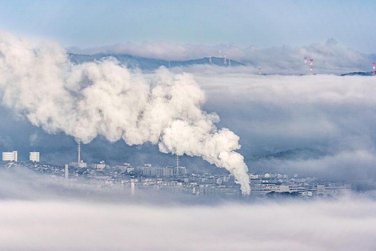 Global Patchwork: A Closer Look at Climate Change Legislation Across Nations