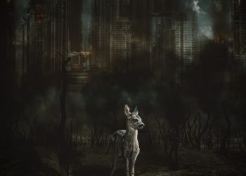 Hot Topic: Exploring the Truth About Global Warming for Students