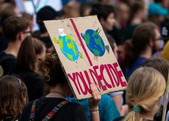 Driving Sustainable Change: How Businesses Can Lead the Charge on Climate Policy