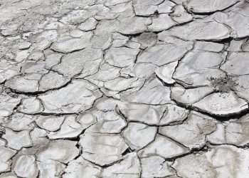 Earth’s Battle: Global Warming vs Climate Change – Who Will Prevail?