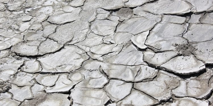 Earth’s Battle: Global Warming vs Climate Change – Who Will Prevail?