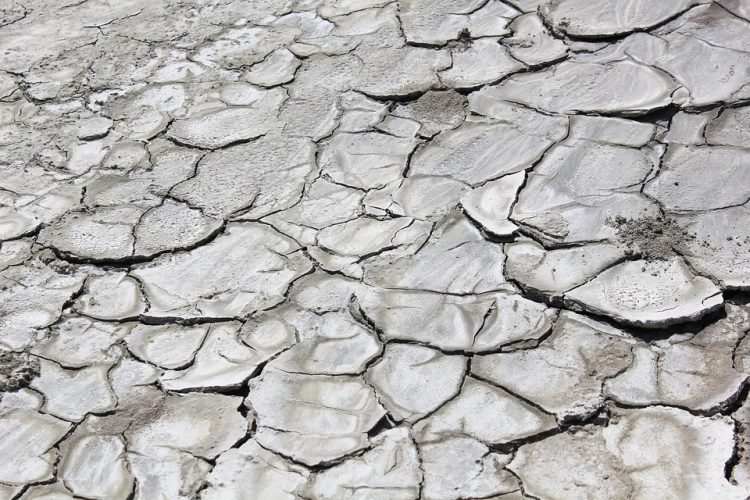 Earth’s Battle: Global Warming vs Climate Change – Who Will Prevail?