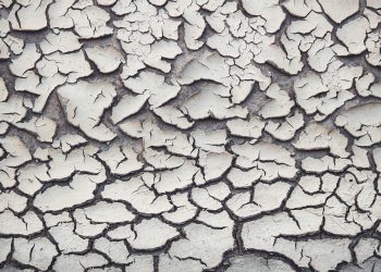 The Truth About Climate Change: What Every Student Needs to Know