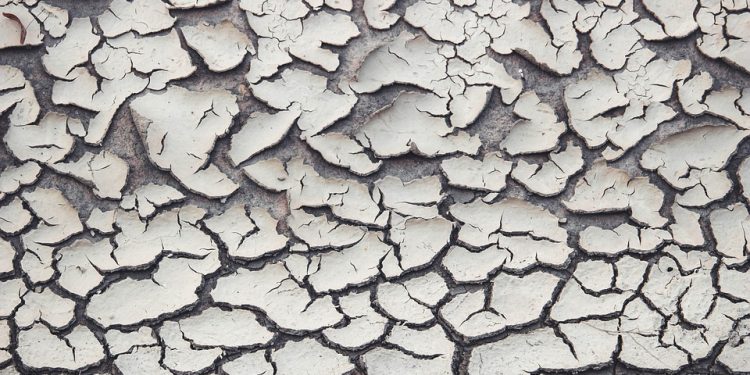 The Truth About Climate Change: What Every Student Needs to Know