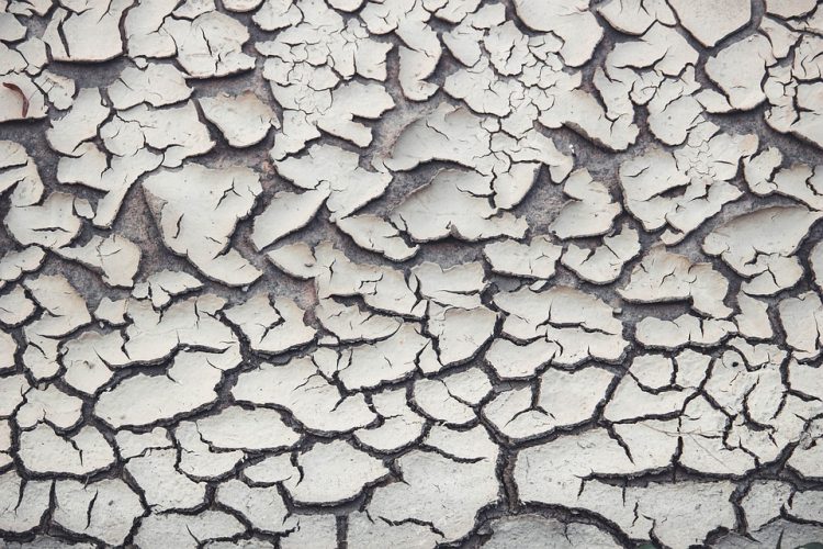 The Truth About Climate Change: What Every Student Needs to Know