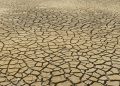 Driving Change: Innovative Climate Policy Initiatives Shaping a Sustainable Future
