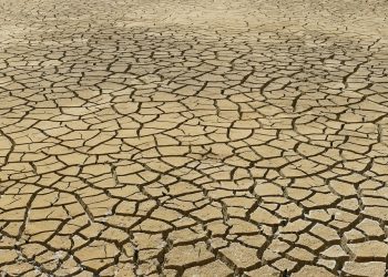 Driving Change: Innovative Climate Policy Initiatives Shaping a Sustainable Future