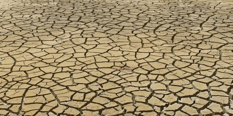 Driving Change: Innovative Climate Policy Initiatives Shaping a Sustainable Future