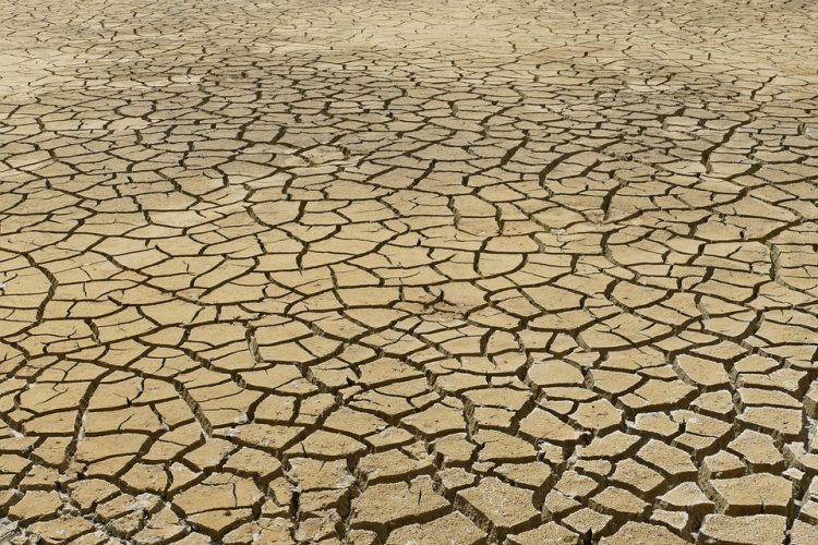Driving Change: Innovative Climate Policy Initiatives Shaping a Sustainable Future