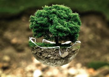 The Silent Crisis: How Humanity’s Footprint is Destroying Our Planet
