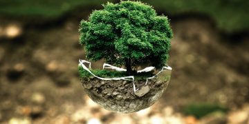 The Silent Crisis: How Humanity’s Footprint is Destroying Our Planet