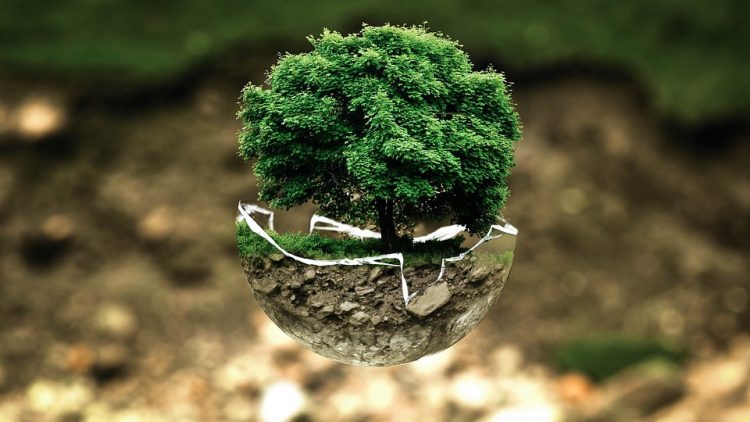 The Silent Crisis: How Humanity’s Footprint is Destroying Our Planet