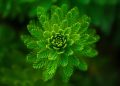 Transforming Education: The Impact of Green Technology in Schools