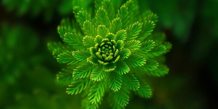 Transforming Education: The Impact of Green Technology in Schools
