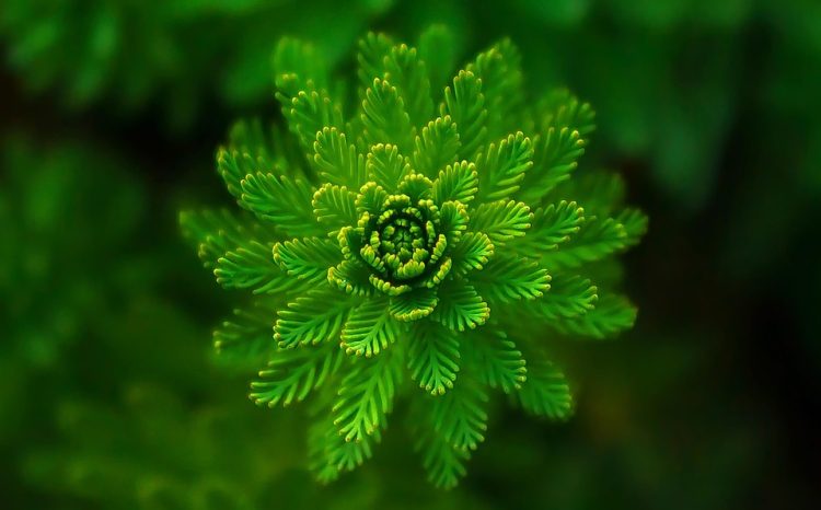 Transforming Education: The Impact of Green Technology in Schools