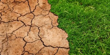 Global Warming 101: Understanding the Basics and Taking Action