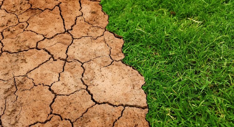 Global Warming 101: Understanding the Basics and Taking Action
