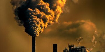 Saving Our Planet: Practical Steps to Combat Global Warming