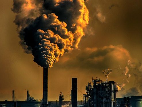 Saving Our Planet: Practical Steps to Combat Global Warming