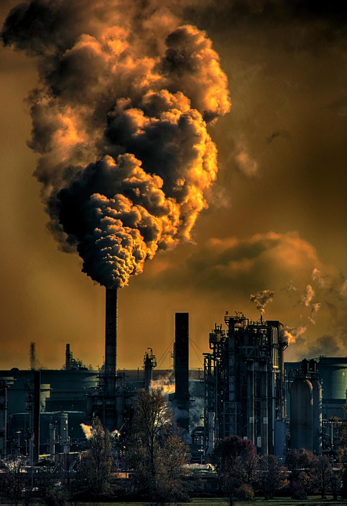 Saving Our Planet: Practical Steps to Combat Global Warming