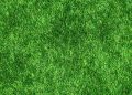 Revolutionizing the Future: The Power and Promise of Green Technology