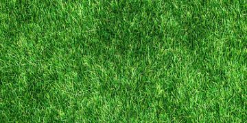 Revolutionizing the Future: The Power and Promise of Green Technology