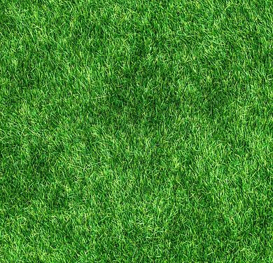Revolutionizing the Future: The Power and Promise of Green Technology