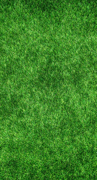 Revolutionizing the Future: The Power and Promise of Green Technology
