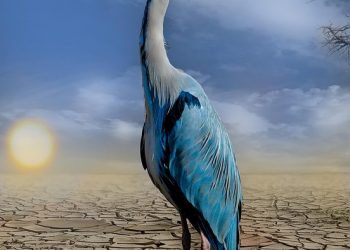 Shaping Our Future: The Urgency of Climate Change Policies