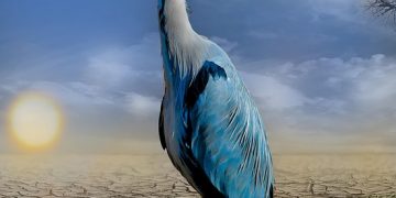 Shaping Our Future: The Urgency of Climate Change Policies