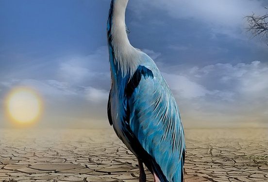 Shaping Our Future: The Urgency of Climate Change Policies