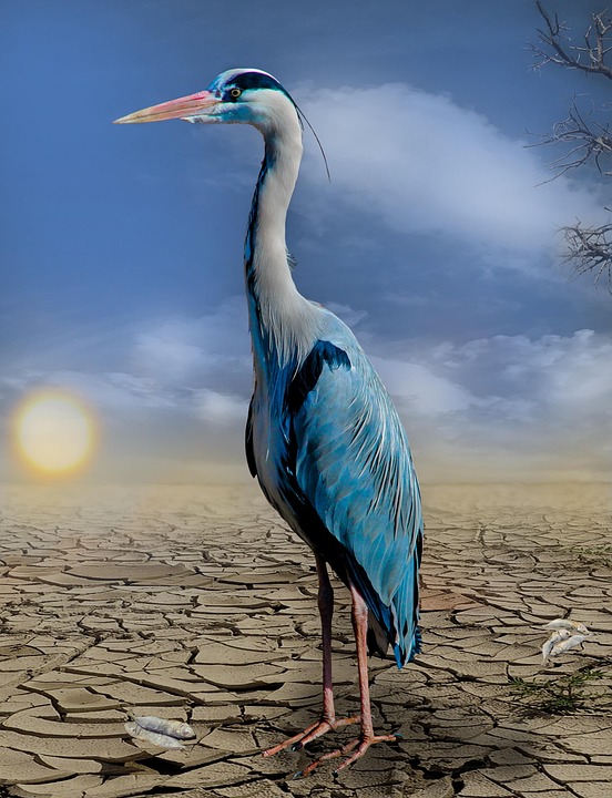 Shaping Our Future: The Urgency of Climate Change Policies