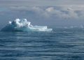 Leading by Example: Innovative Climate Policy Initiatives Making a Difference
