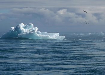 Leading by Example: Innovative Climate Policy Initiatives Making a Difference