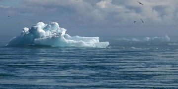 Leading by Example: Innovative Climate Policy Initiatives Making a Difference