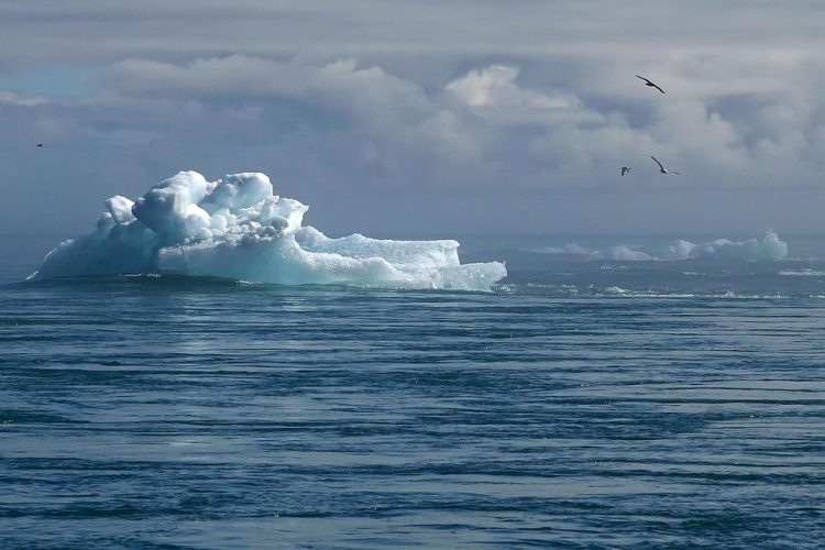 Leading by Example: Innovative Climate Policy Initiatives Making a Difference
