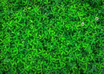 The Ultimate Guide to Energy-Saving Appliances: Top Picks for a Greener Home
