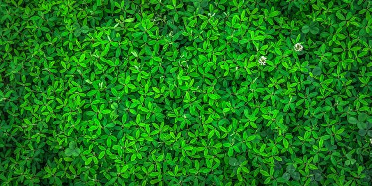 The Ultimate Guide to Energy-Saving Appliances: Top Picks for a Greener Home