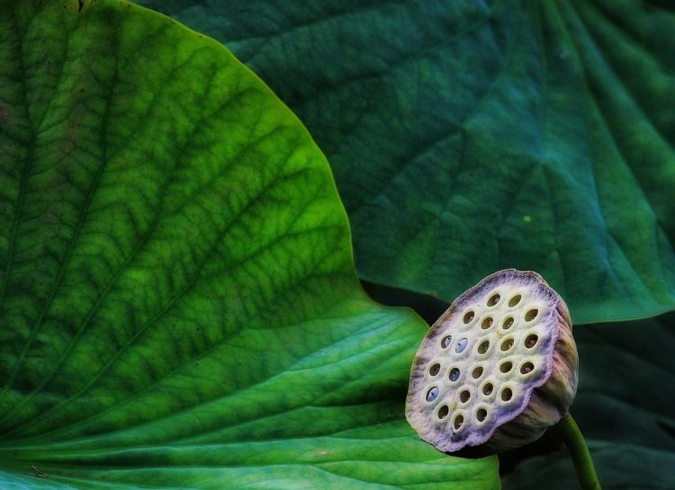 Building a Greener Future: How Smart Homes are Revolutionizing Sustainability